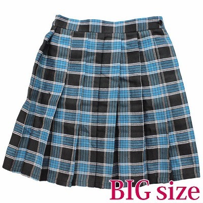 チェック柄プリーツスカート　ＢＩＧ