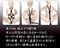 【340円★数量限定】簡単拘束ロープ (黒)<お一人様1点限り>